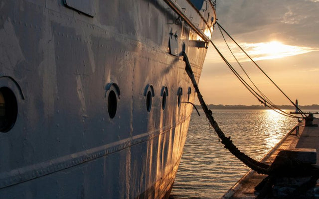 Beyond the Beach: Why the "Cradle-to-Cradle" Model is the Future of Global Shipping